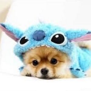 Meet your Posher, Agustina